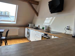 una cocina con fregadero y lavavajillas en The Spiski Palace Apartments, en Cracovia