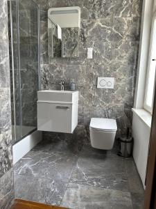 ein Bad mit einem Waschbecken und einem WC in der Unterkunft The Spiski Palace Apartments in Krakau