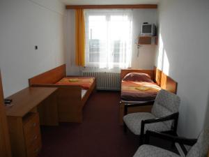 Hotel Vysocina tesisinde bir odada yatak veya yataklar