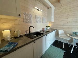 a kitchen with a sink and a counter top at GLAMP GLAMOUR***** in Kowale Oleckie