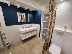 ein Badezimmer mit einem weißen Waschbecken und einer blauen Wand in der Unterkunft Appart'Hôtel Blois vue Château in Blois