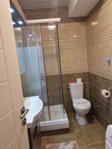 La salle de bains est pourvue d'une douche, de toilettes et d'un lavabo. dans l'établissement J&A Apartman, à Jagodina