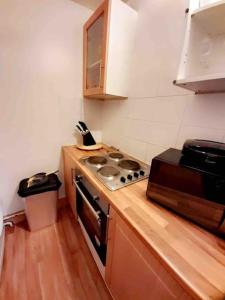 uma pequena cozinha com fogão e micro-ondas em Entire One Bedroom Apartment Near Stratford em Londres