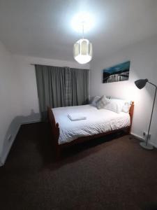 um quarto com uma cama com uma luz e um candeeiro em Entire One Bedroom Apartment Near Stratford em Londres