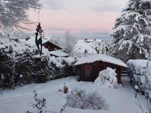 Cabaña pequeña cubierta de nieve en un patio en Harzhaus Rauch, en Braunlage