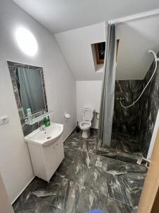 ein Bad mit einem WC, einem Waschbecken und einer Dusche in der Unterkunft Pensiunea RNB Maramures in Şurdeşti
