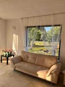 a living room with a couch and a large window at Pensiunea RNB Maramures in Şurdeşti