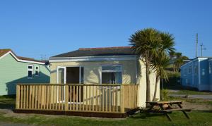 a tiny house with a picnic table and a palm tree at F40 Bayford, Riviere Towans in Hayle +10 photos