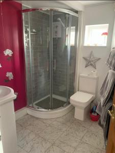 uma casa de banho com um chuveiro e um WC. em Tabs Cottage em Fowey