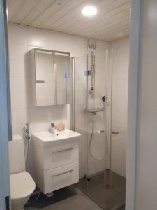 a bathroom with a shower and a sink and a toilet at Savonlinna Holidays apartments in Savonlinna
