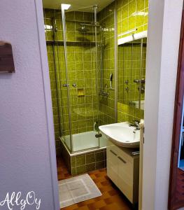 奧伊米特爾貝格的住宿－Ferienwohnung AllgOy，带浴缸、水槽和淋浴的浴室