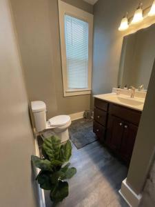a bathroom with a toilet and a sink and a plant at Cozy vintage getaway minutes from downtown in Lincoln