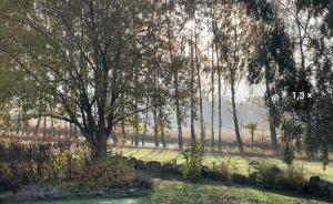 Zahrada ubytování Ekenäs Gård på Österlen