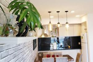 a kitchen with a plant and pendant lights at PAZ Y ARMONÍA: un hogar lejos de casa! in Hernandarias