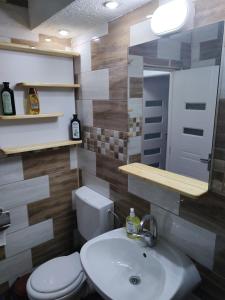 a bathroom with a sink and a toilet and a mirror at Family Rooms Hunedoara in Hunedoara
