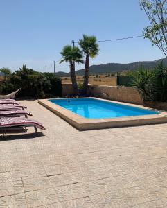 una piscina con sillas y palmeras en un patio en La Buena Vida, en Cañada del Trigo