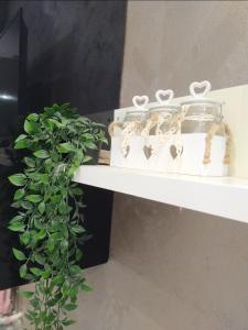 una mensola con una pianta e un barattolo di vetro sopra di Casa Massey a Torino