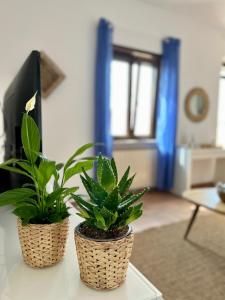 two plants sitting on a table in a living room at Sea Breeze House in Fiumicino