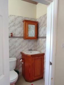 ein Badezimmer mit einem WC, einem Waschbecken und einem Spiegel in der Unterkunft Iso’s Vacation Rental Apartment #8 in Portsmouth