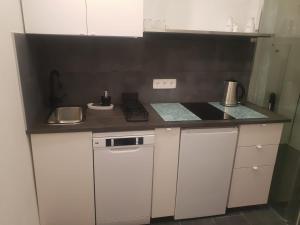 Küche/Küchenzeile in der Unterkunft Loft in Wien