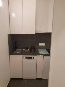 Küche/Küchenzeile in der Unterkunft Loft in Wien