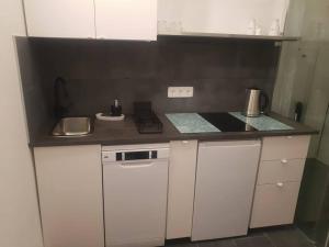 Küche/Küchenzeile in der Unterkunft Loft in Wien