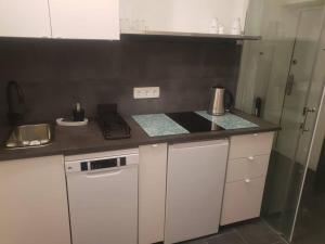 Küche/Küchenzeile in der Unterkunft Loft in Wien