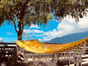 a hammock hanging from a tree next to a table at Ti'Laos in Cilaos