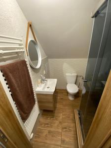 y baño con aseo, lavabo y ducha. en Apartman 7- Vila Stefanik, en Trenčianska Teplá