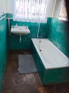 a green bathroom with a tub and a sink at Doornspruit Farm in Magaliesburg