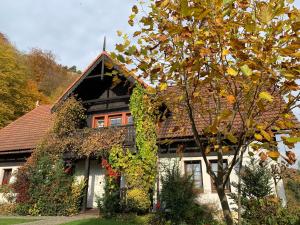 a house with ivy growing on the side of it at Willa Pod Bocianem in Ojców