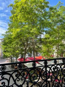 widok na drzewo z żelaznego płotu w obiekcie Appartement Coeur de Ville w mieście Chinon +1 zdjęcie