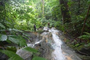 two people standing in front of a waterfall in a forest at Survival Trip Leuser Eco Stay 
