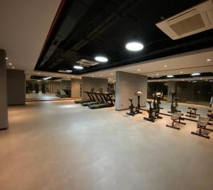 イスタンブールにあるAmazing Big Flat in Taksimの建物内のジム