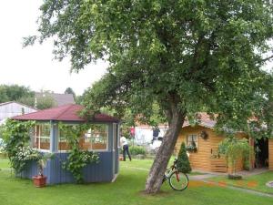 a house with a bike parked next to a tree at Haus-Fechtig-Wohnung-Typ-C in Bonndorf im Schwarzwald