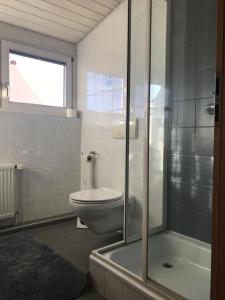 a bathroom with a toilet and a shower at Haus-Fechtig-Wohnung-Typ-C in Bonndorf im Schwarzwald