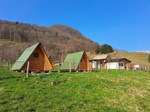a group of houses with green roofs in a field at GLAMPING HIŠKe PETRIN in Tolmin