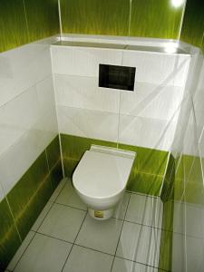 a bathroom with a toilet with green and white walls at Hotel Vysocina in Chotěboř