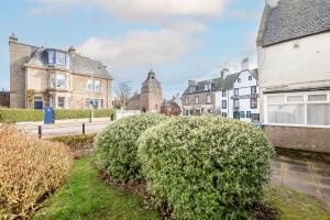 a row of houses in a town with bushes at Stoney Creek Cottage - Cosy Cottage in the heart of Crail in Crail