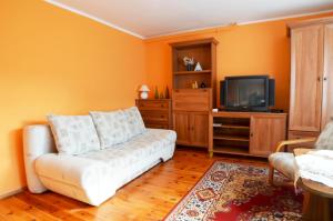 Televízia a/alebo spoločenská miestnosť v ubytovaní Apartament Mickiewicza