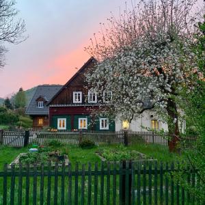 a house with a flowering tree in front of a fence at Penzion Na Stodolci in Chřibská