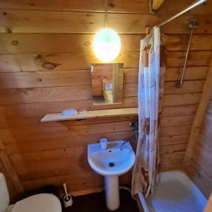 een houten badkamer met een wastafel en een toilet bij Holiday home Teremki in Gagra
