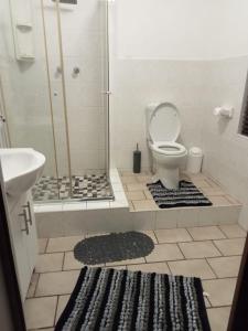 a bathroom with a shower and a toilet and a sink at Windsor Place 6 in Uvongo Beach