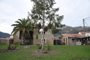 a stone house with a palm tree in front of it at La casona de Llano in Los Corrales de Buelna