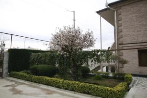 Zahrada ubytování Guest House Nikola
