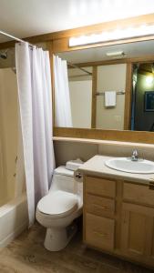ein Badezimmer mit einem WC, einem Waschbecken und einem Spiegel in der Unterkunft Gold Bend 5022 in Truckee