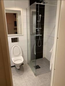 a bathroom with a toilet and a glass shower at Own private room in a big house! in Luleå