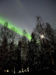 Una luce verde nel cielo su alcuni alberi di Own private room in a big house! a Luleå