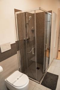 La salle de bains est pourvue de toilettes et d'une douche en verre. dans l'établissement Bubi House Porta Venezia, à Milan