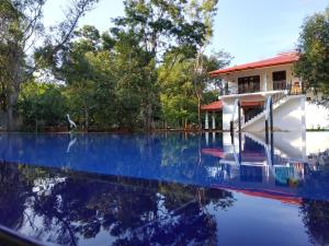 Bassein majutusasutuses Sigiriya Cashew Palace Resort või selle lähedal